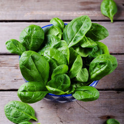 (ARDO) Frozen Loose Leaf Spinach [1kg/pack]