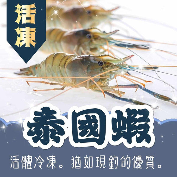 (CHUNG LONG) Fresh Water Prawn / Shrimp (Ulang) [600g/pack]