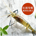 (CHUNG LONG) Fresh Water Prawn / Shrimp (Ulang) [600g/pack]