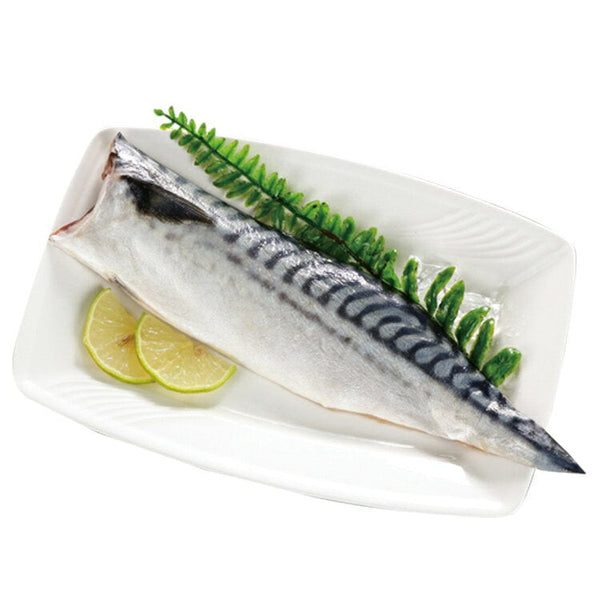 (SHINYOUNG) Salted Mackerel [140g/pack]