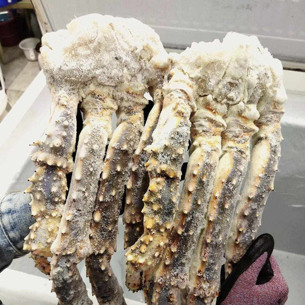 (FORMESA) Raw Blue King Crab Cluster-4L [9kg/box]