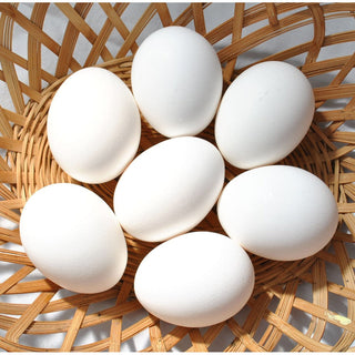 (FORMESA) White Egg [30pcs/tray]