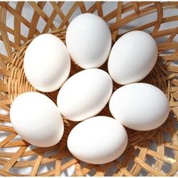 (FORMESA) White Egg - L [30pcs/tray]