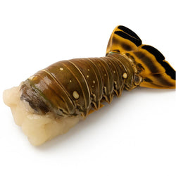 (RAIN FOREST) Wild Caught Caribbean Lobster Tails