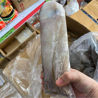 (FORMESA) Frozen Squid (Exported Grade) [700g]