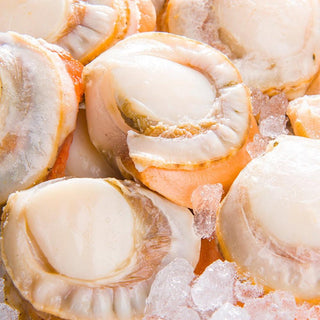 (YENS) Japan Hokkaido Hotate Cooked - 2L (Scallop) [1kg/pack]