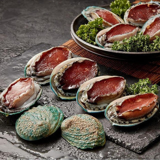 (YENS) Frozen Australian Abalone (8/10 pcs) [500g/pack]