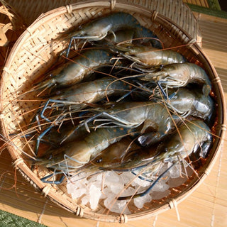 (PACIFIC BAY) Giant Fresh Water Prawn / Shrimp (Ulang) [500g/pack]